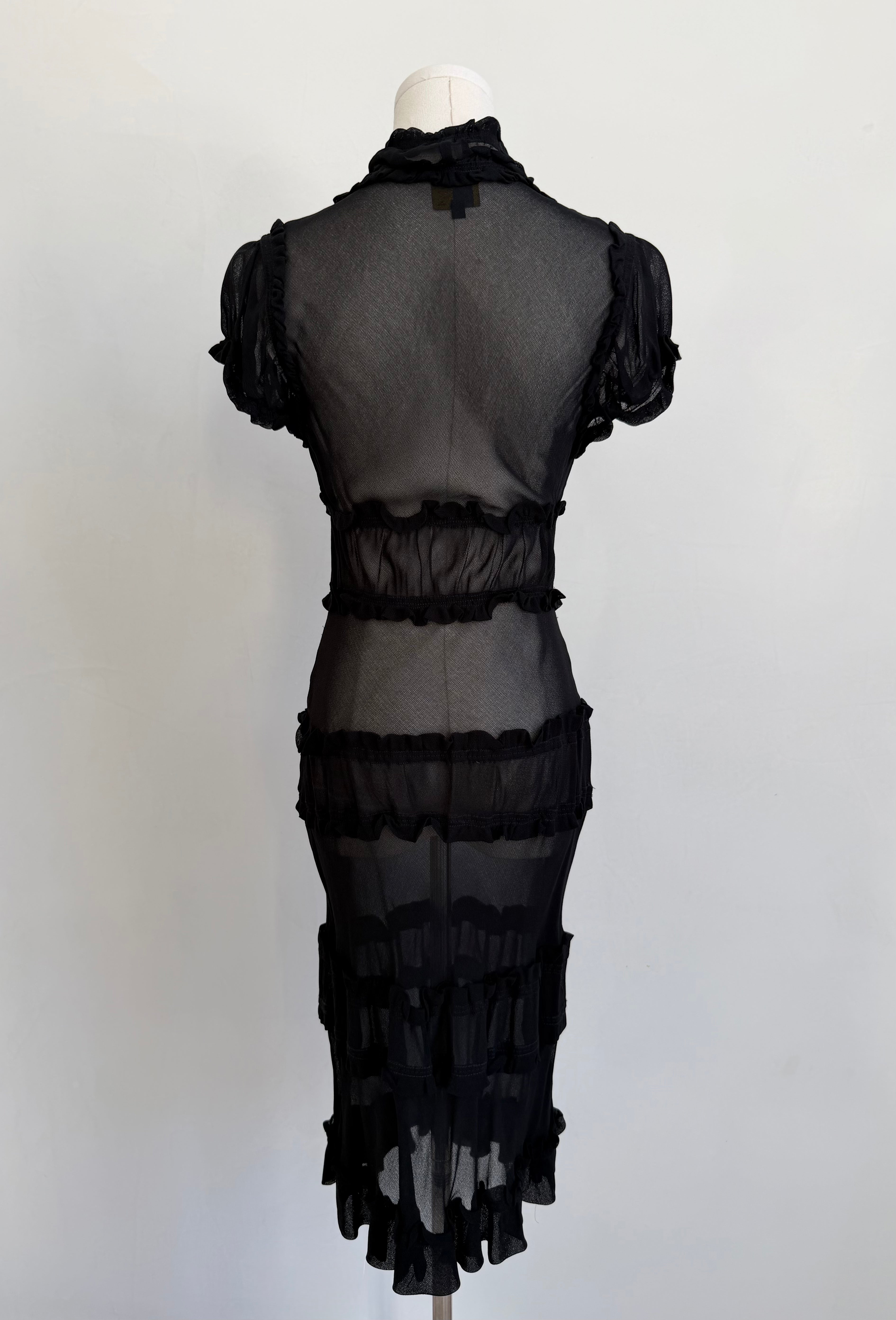 1990s Sheer Ruffle Dress