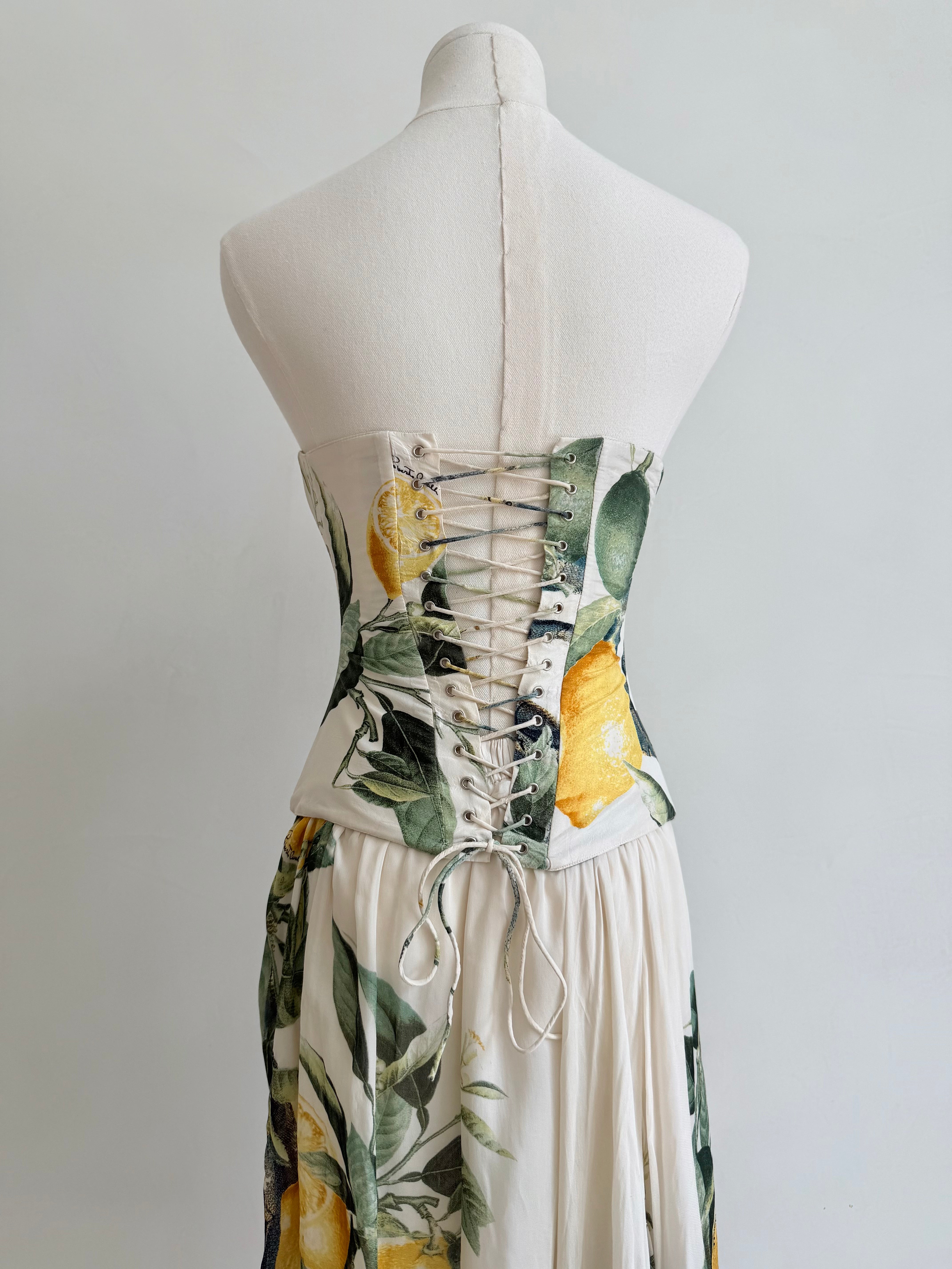 S/S 2005 "Lemon & Serpent" Corset