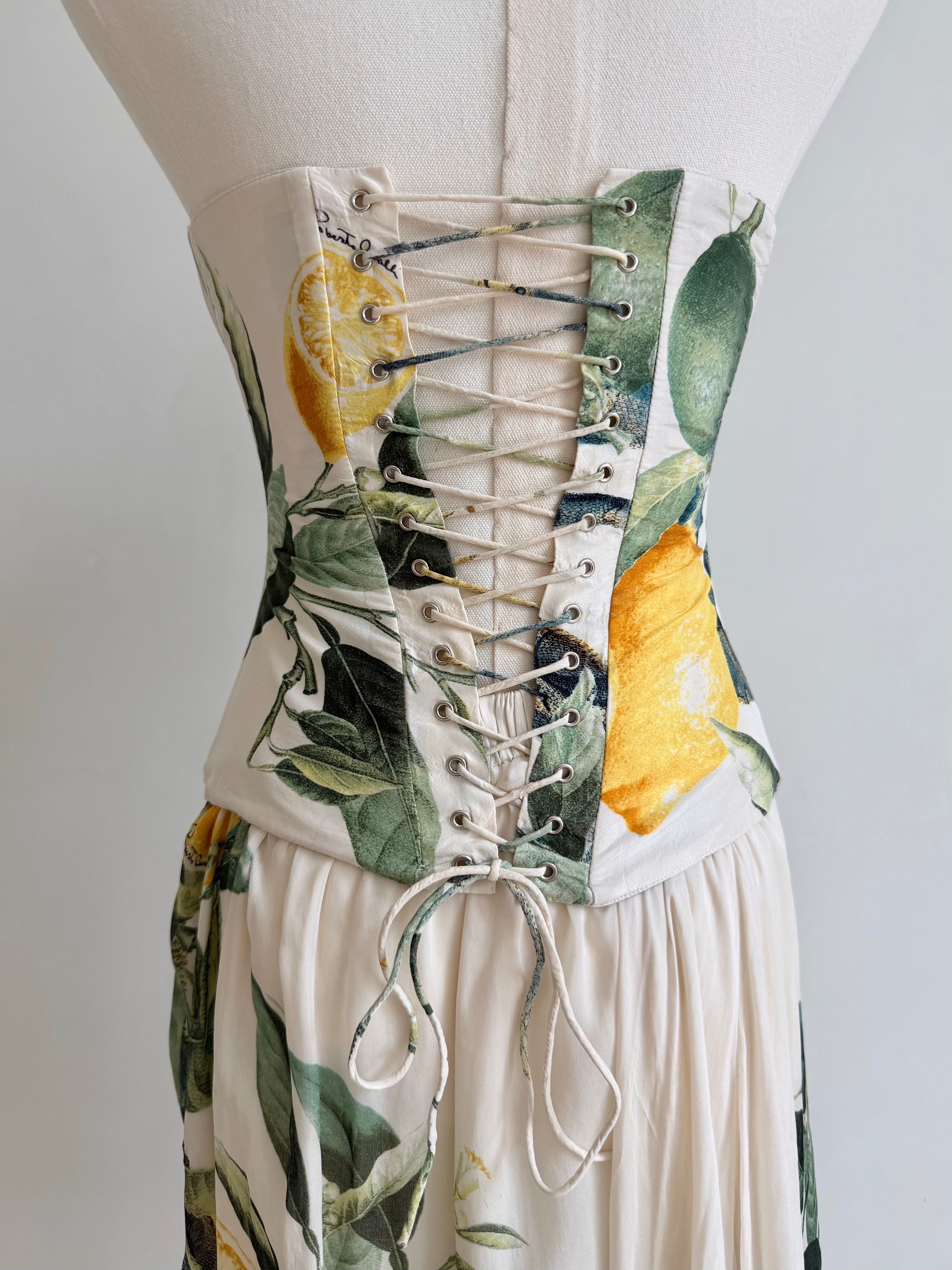 S/S 2005 "Lemon & Serpent" Corset